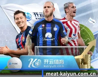 平台简介 - 体育资讯内容服务(kaiyun)